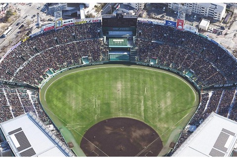 【高校野球2026春】センバツ出場32校が決定、組合せ抽選会3/6 画像