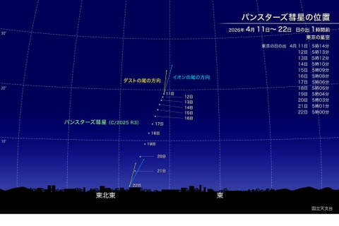 新彗星「パンスターズ彗星」4月中旬見ごろ…肉眼でも観察チャンス 画像