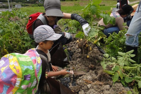 ホテル日航東京で食育イベント…親子でリサイクルエコ野菜作りを体験 画像