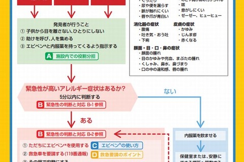 東京都「食物アレルギー緊急時対応マニュアル」作成 画像