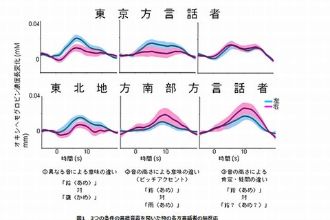 東京と東北南部方言話者の言語処理の違いを発見 画像