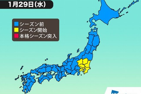 関東全域で花粉シーズン突入、昨年より1週間早く飛散開始 画像