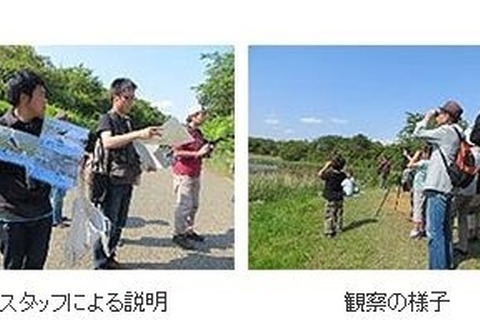 【GW】葛西臨海公園「春のバードウォッチングフェスティバル」5/4-5 画像