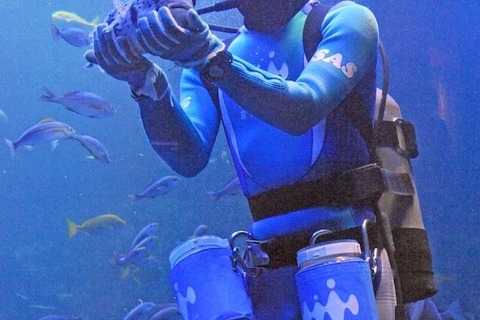 強い奴ほど素直になれる…水族館は人間社会の縮図 画像