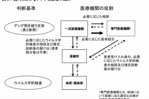 デング熱、解熱剤使用に注意…厚労省 画像