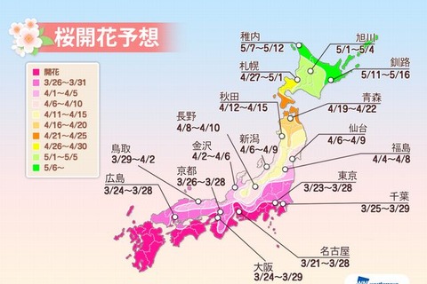 桜シーズン到来、東京・名古屋・大阪で今週末が見頃 画像