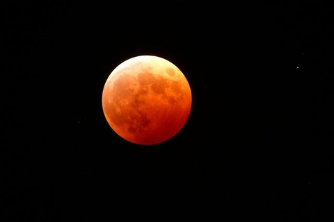 赤黒い満月と夜桜…4/4皆既月食まとめ 画像