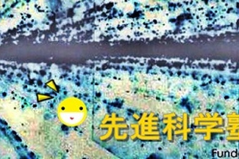 物理で語る「五重塔」…名大で中高生向け先進科学塾4/18・25 画像