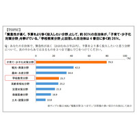 自治体の8割、より予算を投入したい分野に「子育て・少子化対策」 画像