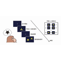 記憶を思い出す脳の仕組みを解明、東大研究グループ 画像