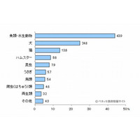 ペット効果、保護者の9割が「よかった」…思いやりや責任感に変化 画像