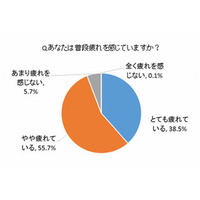 母親の9割以上が「疲れている」、人気の疲労解消法は… 画像