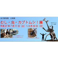 【夏休み】「むし・虫・カブトムシ！展」開催、 横浜・金沢動物園 画像