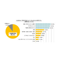 母親の85.8％、小学生の夏休みは「危険が増える」 画像