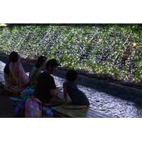 【夏休み】東京ミッドタウン、日本の夏を五感でたのしむ…イルミ・花火・風鈴 画像