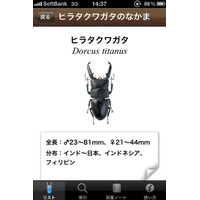 世界のカブトムシ＆クワガタムシを鑑賞できるiPhoneアプリ 画像