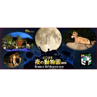 【夏休み】子どもと行きたい夜の動物園まとめ…横浜3園 画像