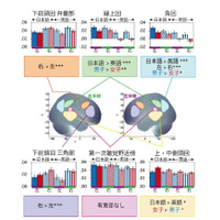 英語学習、小学生の脳活動に男女差…首都大 画像