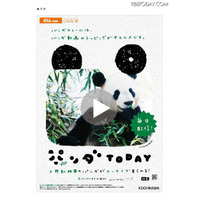 上野のパンダ動画を配信する「パンダ TODAY」、ゆかりの地にポスター掲出 画像