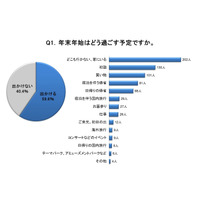 【年末年始】過ごし方と出費、お年玉の金額は甥・姪が最多で平均は1万円 画像