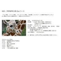 ネイティブ教師と博物館や動物園で英語レッスン「One Day Trip」 画像