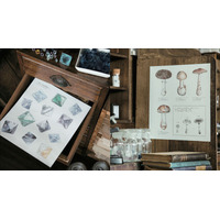 完成させて自分だけの図鑑に「鉱物と理科室のぬり絵」 画像