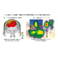 若年層は「縦書き文字」を読み飛ばす… 脳と視点から世代傾向を調査 画像