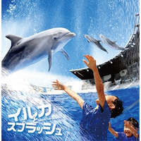 【夏休み2016】京都水族館でイルカとずぶぬれ水遊び7/23スタート 画像