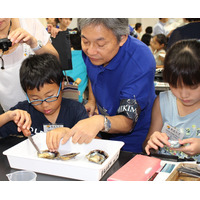 【夏休み2016】東大で「真珠を育む海を知ろう」ミキモト体験観察会8/2 画像