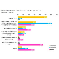 【夏休み】保護者はちょっと大変？ 小学生の平日の過ごし方が判明 画像