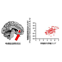 「幸せ」はトレーニングで増強できる!? 生理学研究所が発表 画像