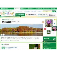 葛飾区の水元公園ふれあいフェス10/22・23、親子で楽しめる体験教室 画像