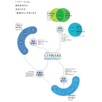 小学生から受験可能、資質・能力を評価するアセスメントテスト「LIPHARE」2017年3月リリース 画像