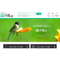 生物専門図鑑の読み放題サイト「図鑑.jp」植物、野鳥図鑑を公開 画像