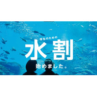 仙台うみの杜水族館、3/31までの学割キャンペーン「水割」 画像