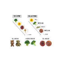 10分間のきつめ運動で記憶力アップ…筑波大教授ら実証 画像