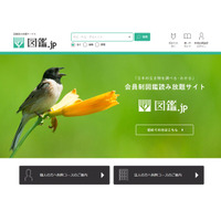 図鑑読み放題サイト「図鑑.jp」教育機関向けに拡充 画像
