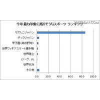 今年最も印象に残りそうな○○は？　なでしこやマツコ、AKB48… 画像