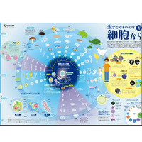 iPS細胞作製から10年…一家に1枚「生きものすべては細胞から」刊行 画像