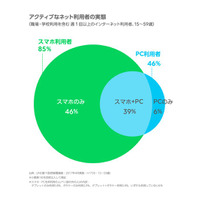 10代のネット利用、スマホのみが7割 画像