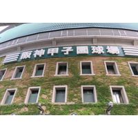 【高校野球2017夏】夏の甲子園、経済波及効果は350億円…関西大が試算 画像