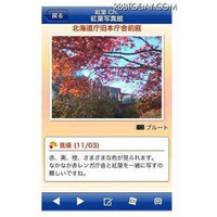 ウェザーニューズ、iPhone／Android向け「紅葉ch.」 画像