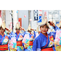 真夏の祭典「高知よさこい祭り」6つの要素や見どころ、拡大と進化の歴史【夏休み自由研究】 画像