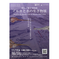 本物の標本に触れて、感じて…「イルカと水の生き物展」三郷市11/19 画像