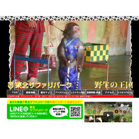 アシカやサルがお手伝い、東北サファリパークがサプライズ支援 画像