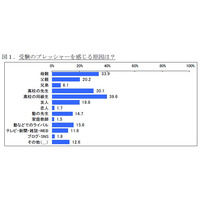 受験のプレッシャー調査、「クリスマスも勉強」が約6割 画像