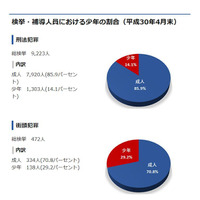 少年犯罪、都内でH22年以降減少…振り込め詐欺は増加 画像