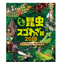 【夏休み2018】オービィ横浜、バーチャルとリアルで楽しむ2大昆虫展 画像