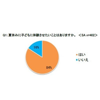 夏休みに子どもに勉強させたいこと、英語やプログラミングが上位 画像