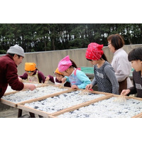 横須賀で過ごす1泊2日、生き物採集や漁協のお仕事体験9/8・9 画像